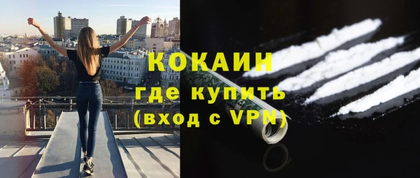 твердый Арсеньев