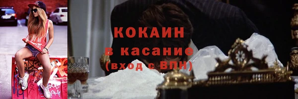твердый Арсеньев