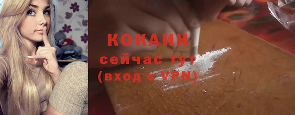 твердый Арсеньев